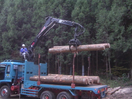 山林と製材所所の見学会 写真